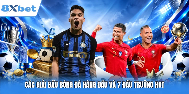 Các giải đấu bóng đá hàng đầu và 7 đấu trường hot