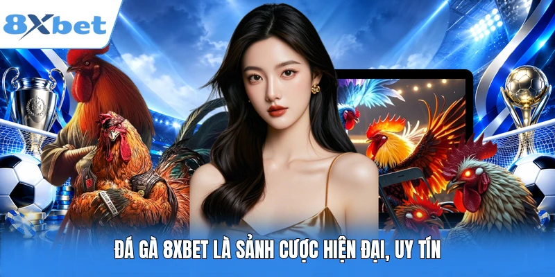 Đá gà 8XBET là sảnh cược hiện đại, uy tín