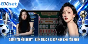 Game Tài Xỉu 8XBET – Kiến Thức & Bí Kíp Hay Cho Tân Binh
