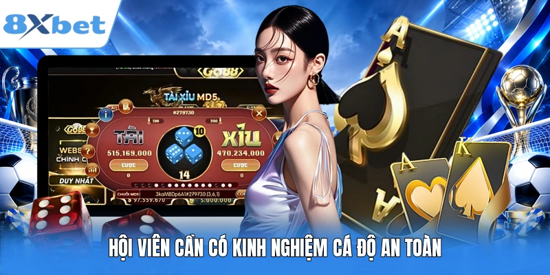 Hội viên cần có kinh nghiệm cá độ an toàn