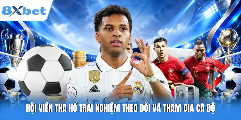 Hội viên tha hồ trải nghiệm theo dõi và tham gia cá độ