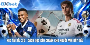 Kèo Tài Xỉu 2.5 - Cách Đọc Kèo Chuẩn Cho Người Mới Bắt Đầu
