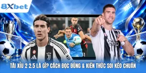 Tài Xỉu 2 2.5 Là Gì? Cách Đọc Đúng & Kiến Thức Soi Kèo Chuẩn