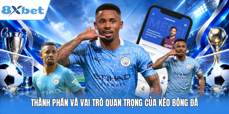 Thành phần và vai trò quan trọng của kèo bóng đá